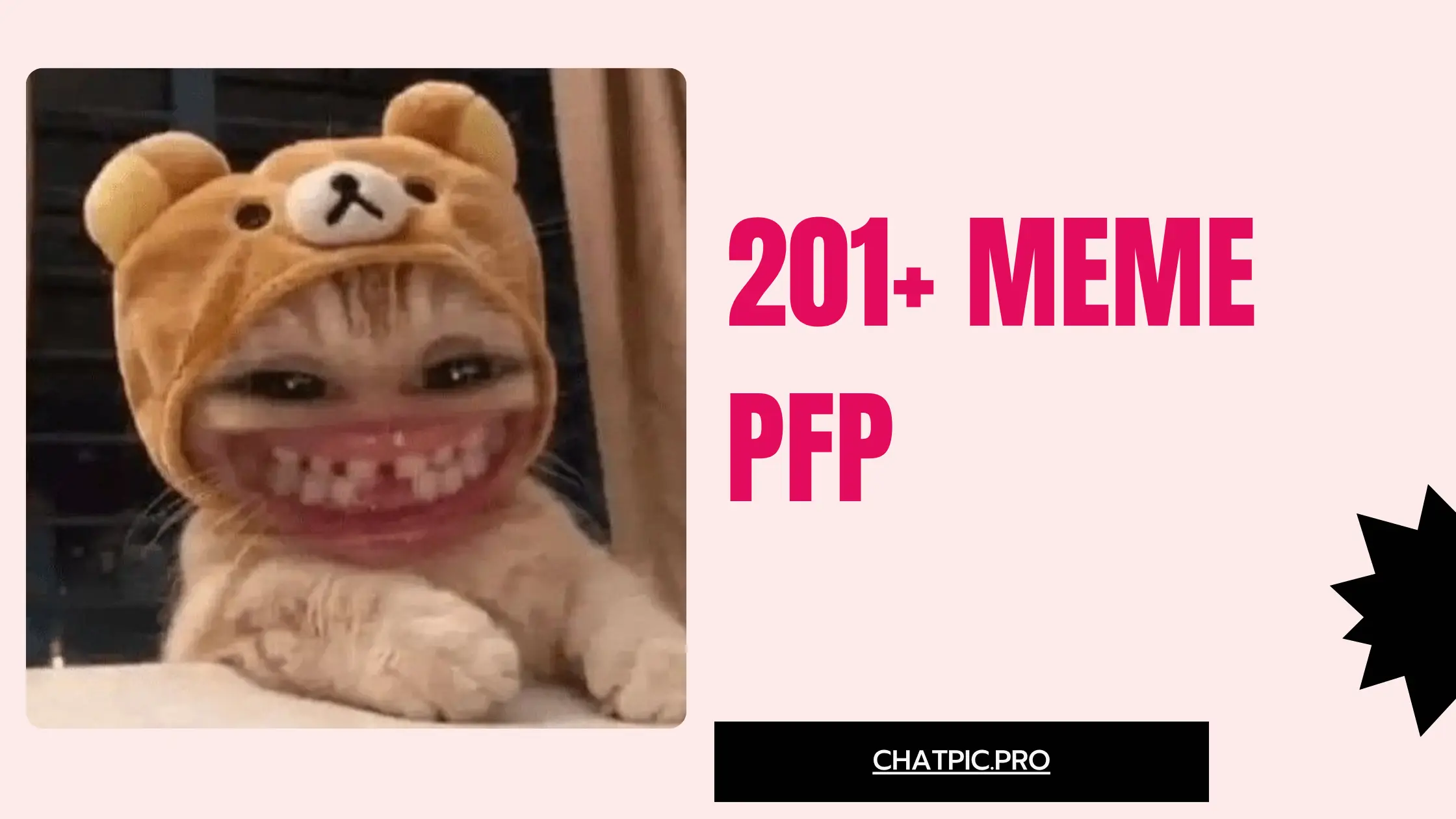 201+ Meme PFP Ideas Funny, Cute, Anime, Cat, Dog, Girl and Discord Styles