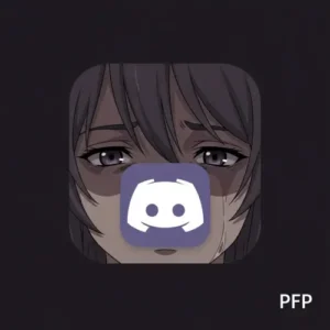 sad Discord PFP quiet aesthetic icon