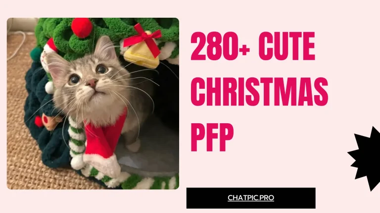 280+ Cute Christmas PFP for Girl, Boy, Cat, Anime and Every Platform