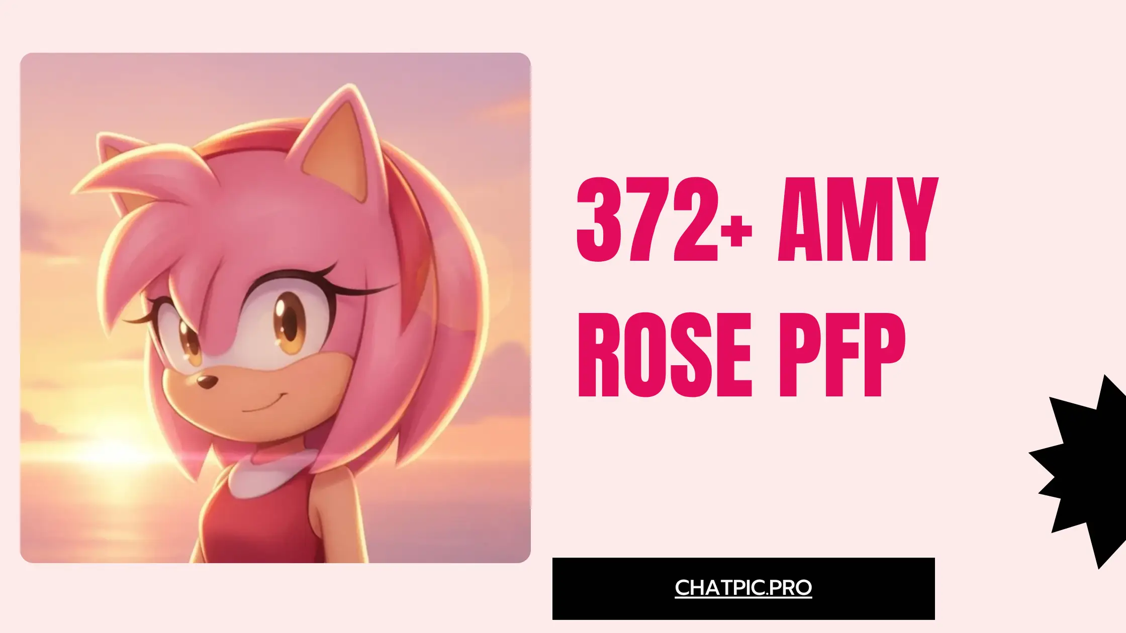 372+ Amy Rose PFP Ideas Cute, Aesthetic, Fanart, Discord and Pinterest Styles