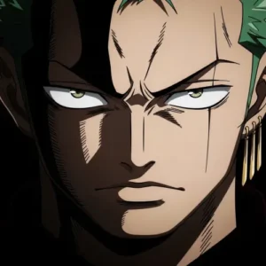 zoro aesthetic profile picture