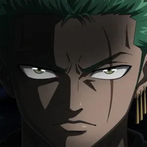 zoro aesthetic avatar moody