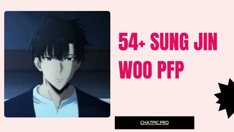 54+ Sung Jin Woo PFP Cool, Aesthetic, 4K and Solo Leveling Profile Pictures