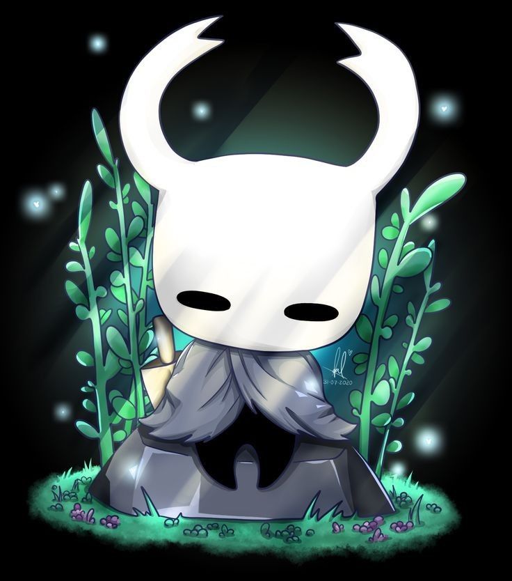 cool Hollow Knight minimalist confident