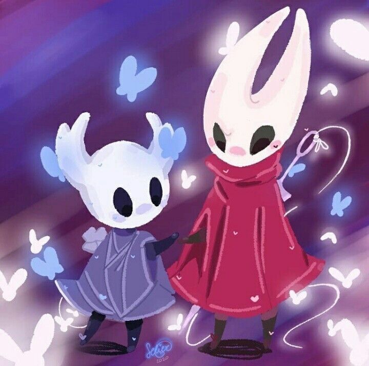 Hollow Knight matching profile duo