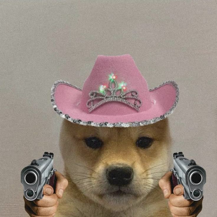 dog meme joyful expression bright warm