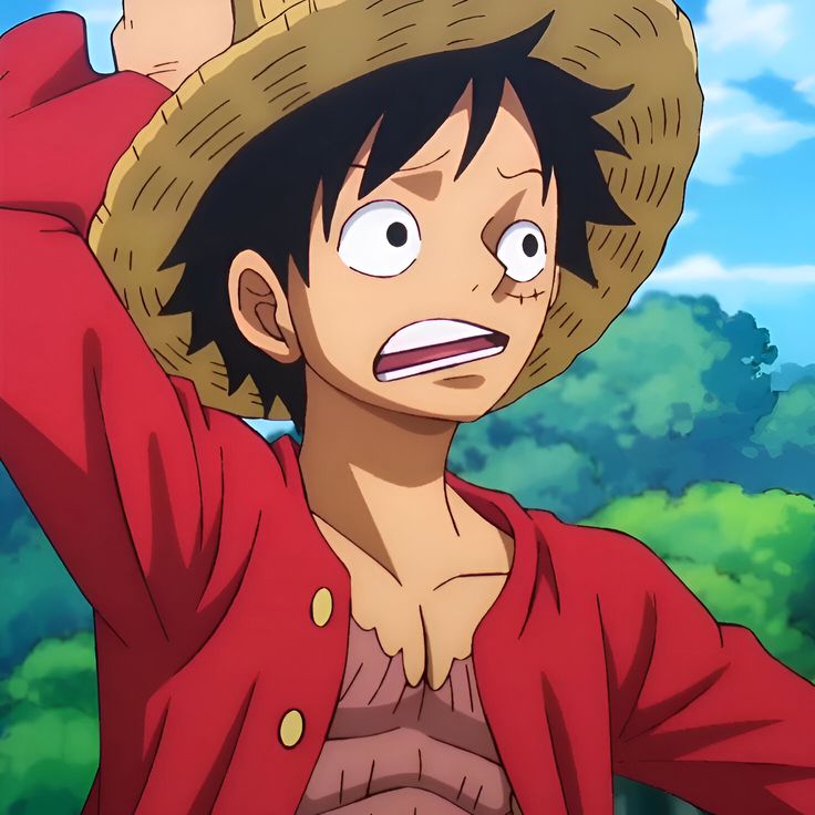collection Luffy profile pictures multiple vibes