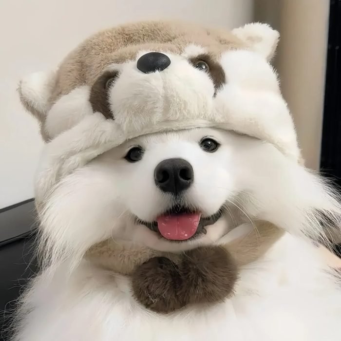 cute dog PFP friendly preppy profile