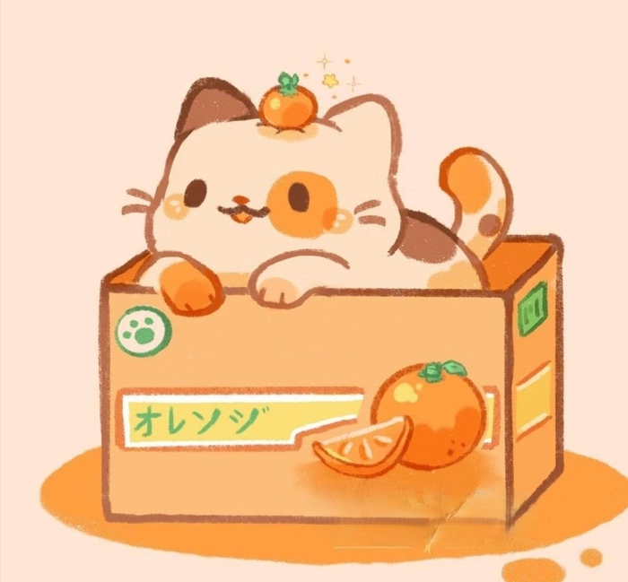 Playful orange cat profile picture with humor