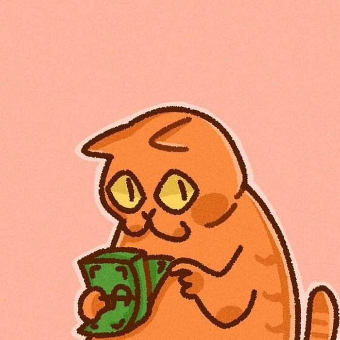 Funny orange cat profile picture for casual platforms