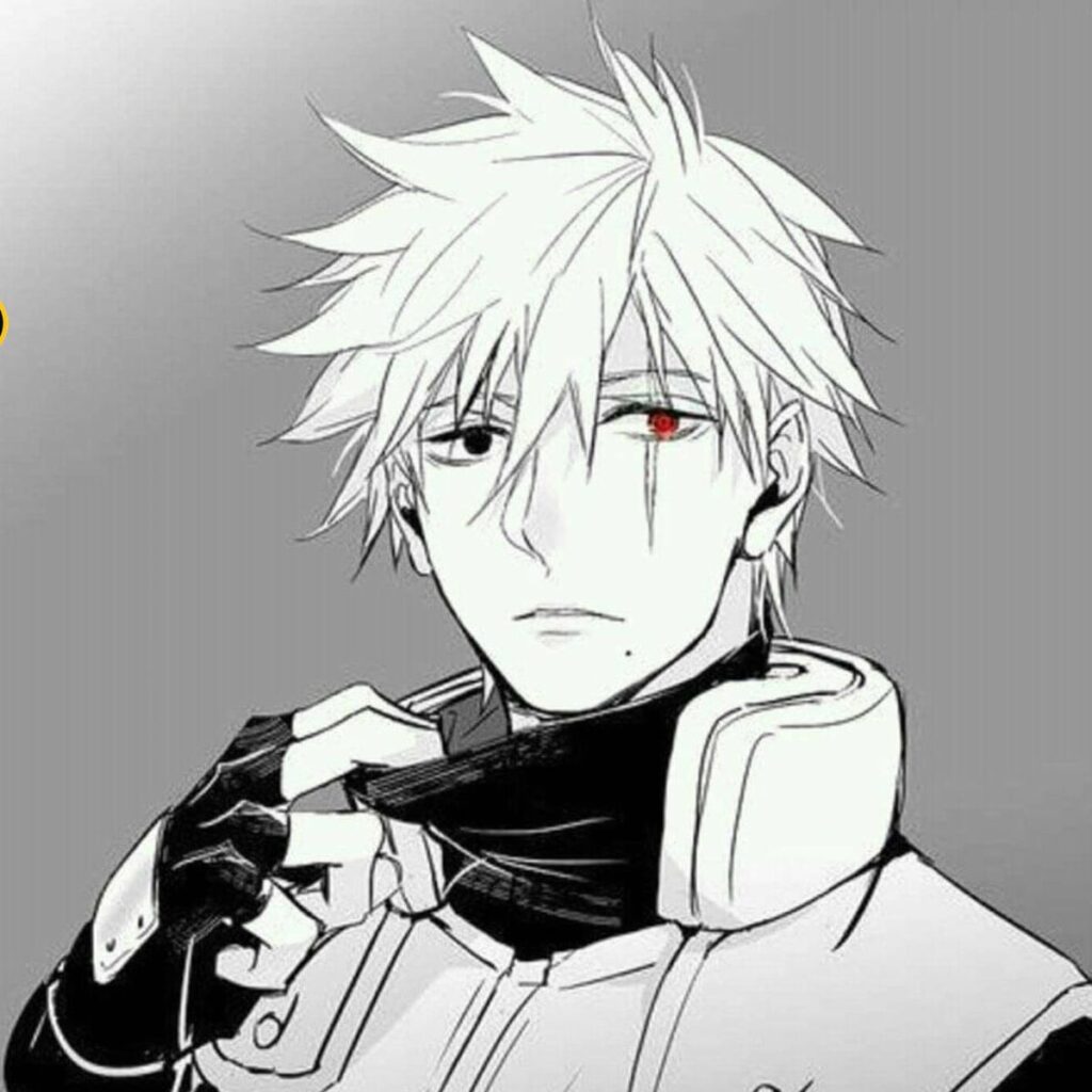 Kakashi Hatake manga profile picture