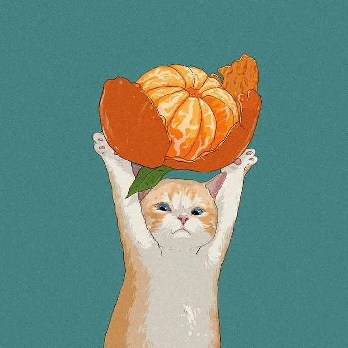 Saturated orange Discord PFP with circular crop