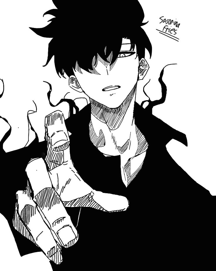 Solo Leveling black and white PFP monochrome