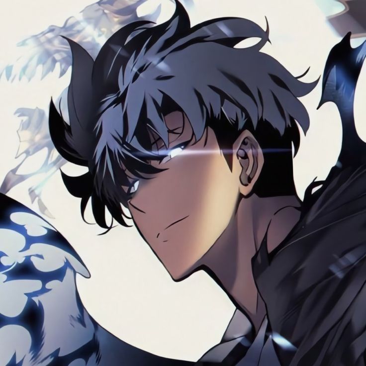 Solo Leveling Instagram PFP curated picture