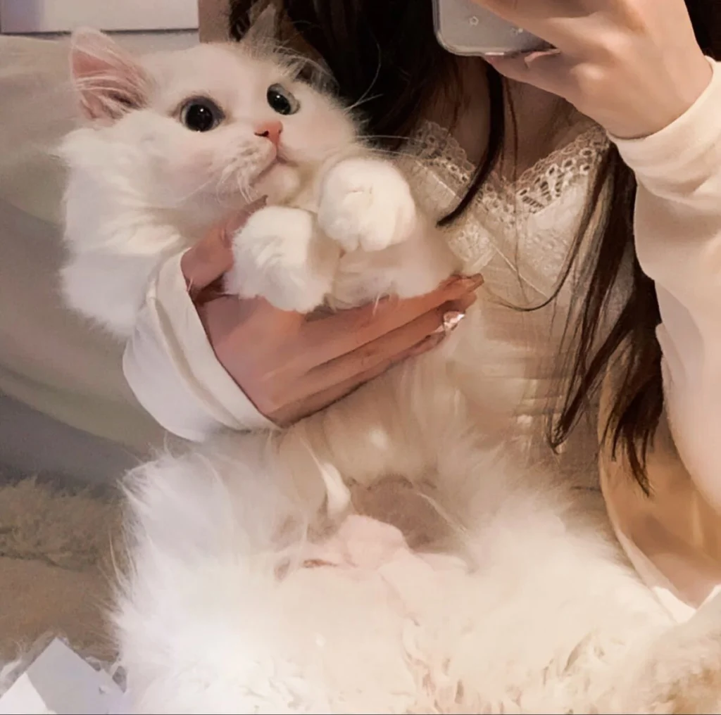 Y2K PFP cat glitter collar fuzzy fur texture